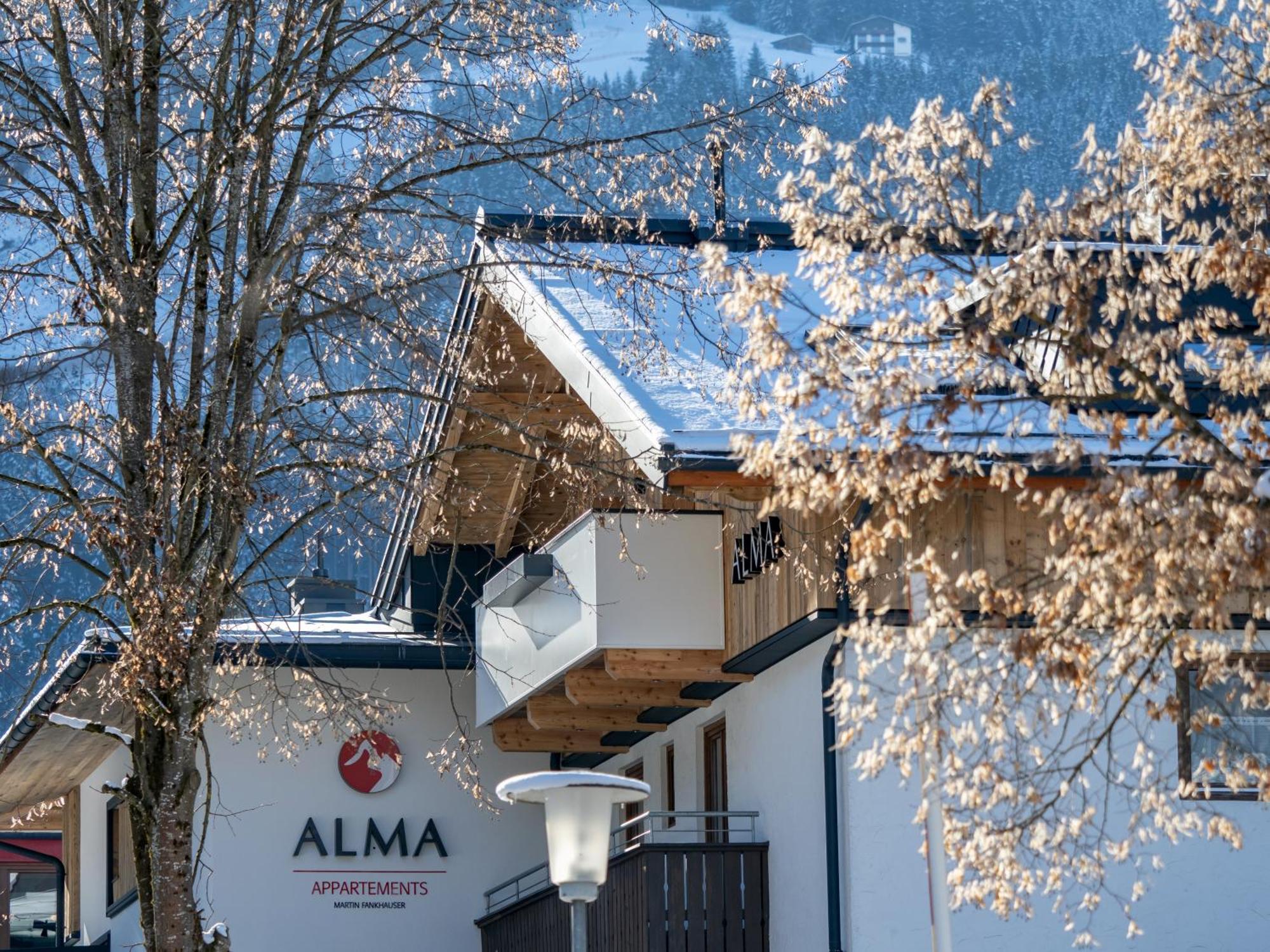 Appartements Alma マイヤーホーフェン エクステリア 写真